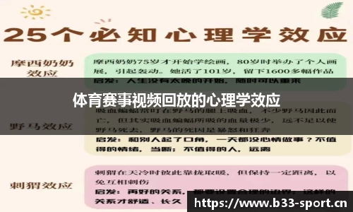 b33体育官网