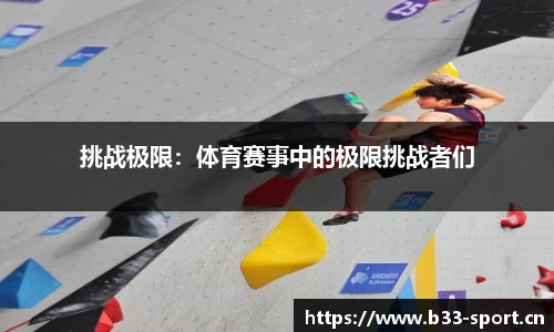 b33体育