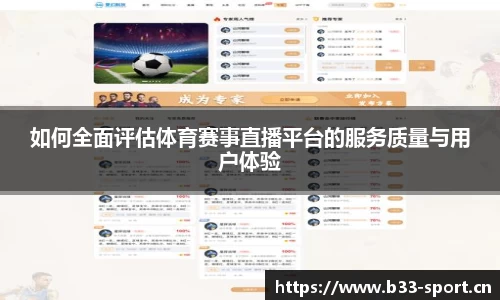 b33体育官网